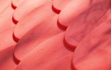 Moneydie plastic roof costs