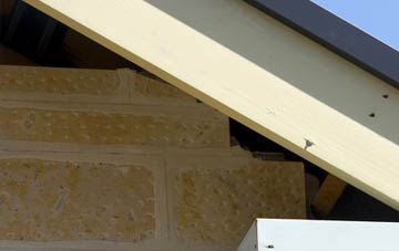 soffit repair Moneydie